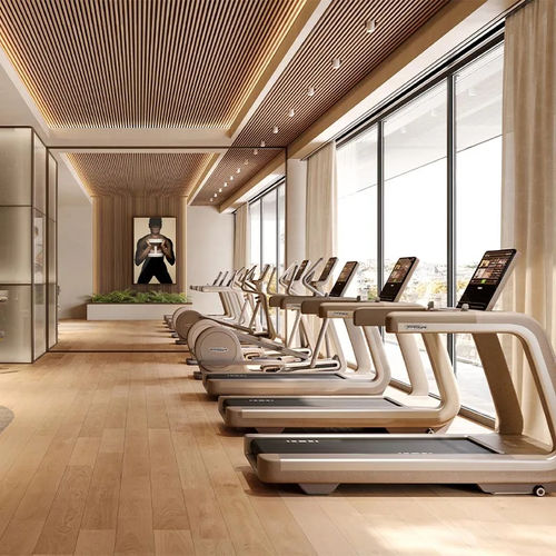 Программируемая беговая дорожка - SAND STONE - TECHNOGYM - для профессионального использования / для бытового использования