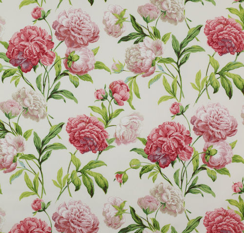 Обивочная ткань - SUMMER PALACE : PEONIES - Colefax & Fowler - в цветочек / из хлопка
