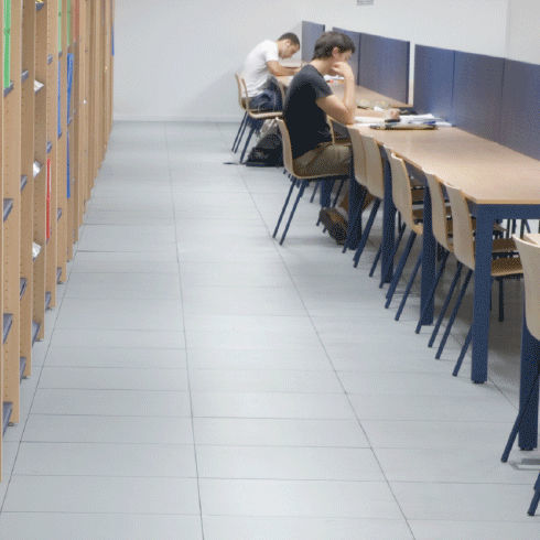 Технический пол из ДСП - BANK - ACCESS FLOOR POLYGROUP - из гальванизированной стали / из керамики / из гранита