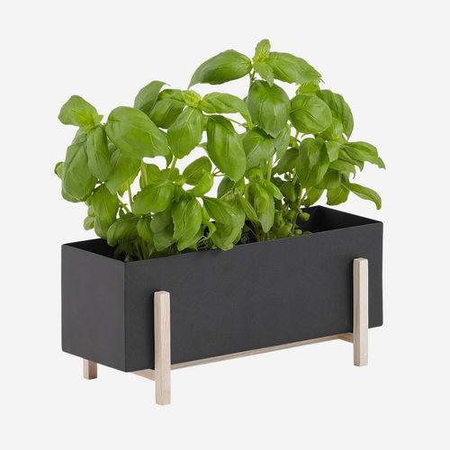 Садовый горшок из металла - BOTANIC - DESIGN HOUSE STOCKHOLM - из ясеня / отдельностоящий / прямоугольный