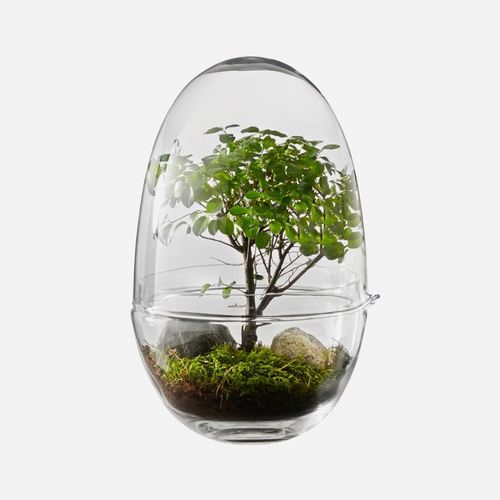 Современная ваза - GROW - DESIGN HOUSE STOCKHOLM - из стекла / ручной работы