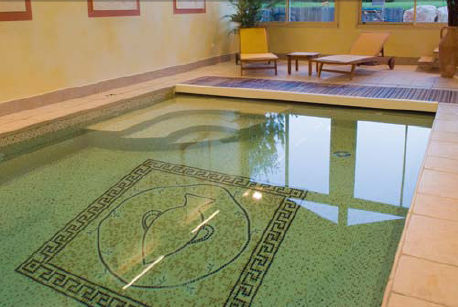 Бассейн для наружного применения - MONTAGNY 69. - PISCINES CARRE BLEU - заглубленный / из бетона