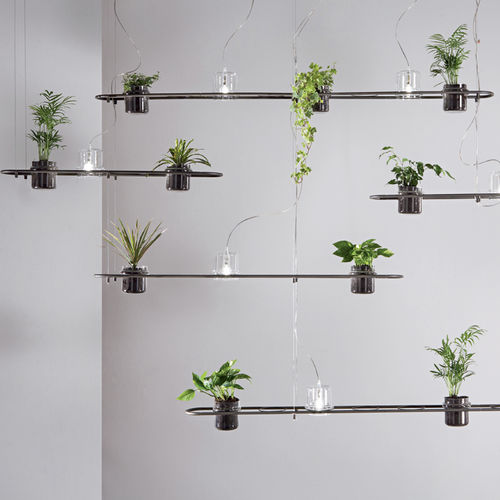 Подвесная лампа - PLANTICUS - Siru Lighting - из железа / органический дизайн / проводная