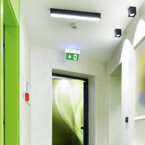 Потолочное аварийное освещение - POXAR SN-F - LENA LIGHTING - настенное / прямоугольное / LED