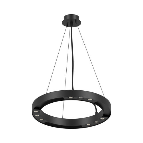 Современный потолочный светильник - HULA HOOP | 2112 - psmlighting - круглый / LED / для интерьера