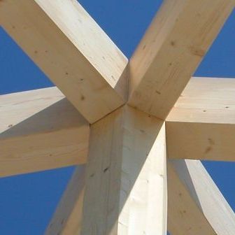 Программное обеспечение CAO - TIMBER FRAMING - DIETRICH'S AG - для расчетов / FAO / для деревянной конструкции