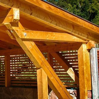 Программное обеспечение для архитектуры - CARPORT - DIETRICH'S AG - для деревянной конструкции