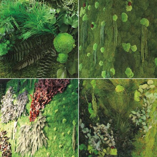 "зеленая стена" для интерьера - MOSS WITH LEAVES - ADRIANI E ROSSI EDIZIONI
