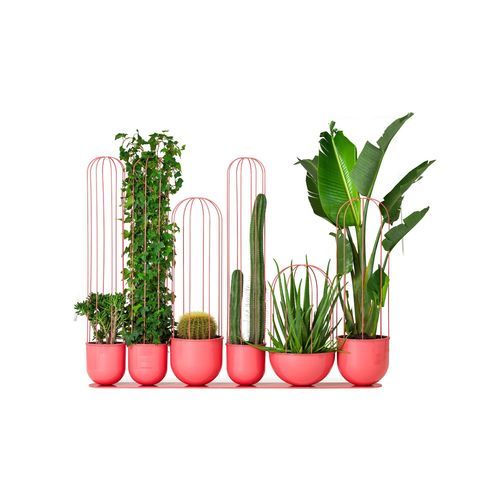 Кадка для садовых растений из алюминия - Cacti - NOLA INDUSTRIER - из стали, покрытой порошком / современная / для общественных мест