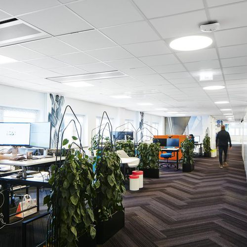 Подвесной потолок из стекловаты - FOCUS™ A - Saint-Gobain Ecophon - из плит / для офиса / для интерьера