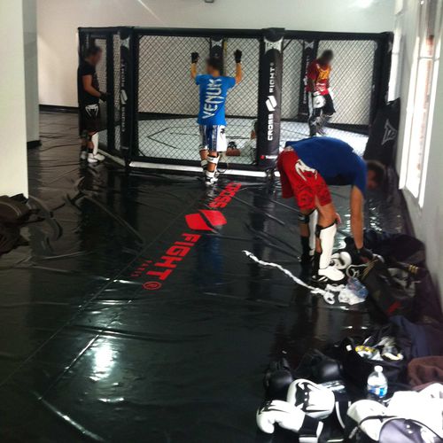Ковер для борьбы - MMA series - Modugame - MG Sport