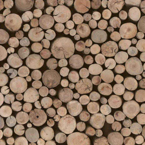 Облицовочная пластина из дерева - PIXELS DE BOIS FLOTTES TILE BOARD - Oscar Ono | Wood Manufacture - внутренняя