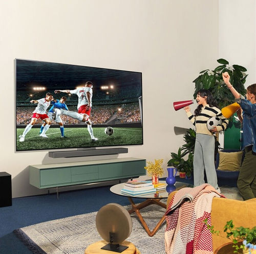 ТВ Smart - EVO C4 - LG Electronics - UHD / ОСД / 48 дюймов