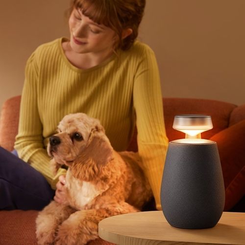Колонки мультимедиа - XBOOM 360 XO2 - LG Electronics - bluetooth / беспроводная / всенаправленная
