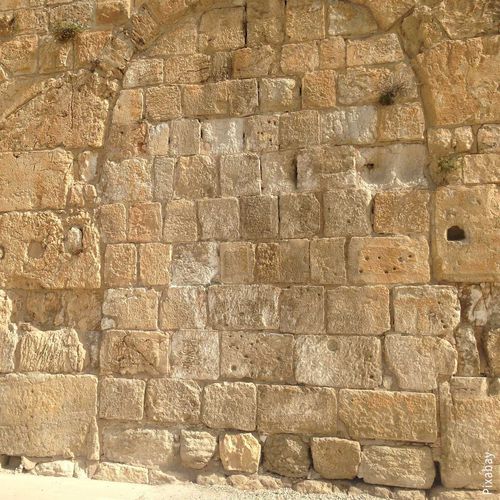 Плита из камня из известняка - EILAT – JERUSALEM - CREA STONE - для напольной поверхности / для стены / очищенная