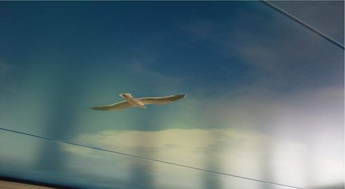 Натяжной потолок из полотна - IMAGE PRINTING - VINYL - Stretch Ceilings - набивной / декоративный