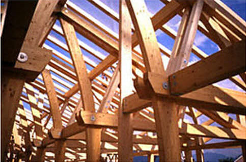 Программное обеспечение структурного анализа - HSBGLULAM - hsbSOFT - для деревянной конструкции / 2D