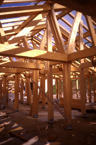 Программное обеспечение структурного анализа - HSBTIMBER - hsbSOFT - для деревянной конструкции / 2D