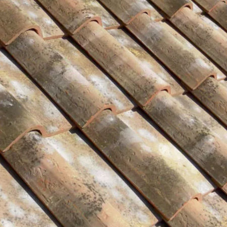 Черепица Имбрекс - VERNACCIA / RISERVA - SOLAVA - из терракоты / большая форма