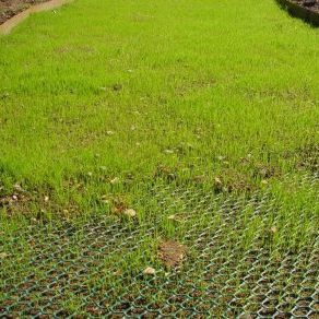 Георешетка усиления - TURFPROTECTA - TERRAM