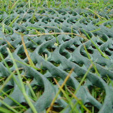 Трехмерная георешетка - GRASSPROTECTA - TERRAM