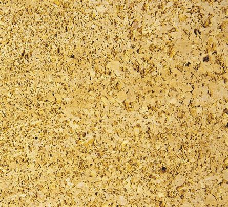 Плита из камня из известняка - YELLOW LUMACHELLA - ZICHE MARMI - полированная / очищенная / песчаная