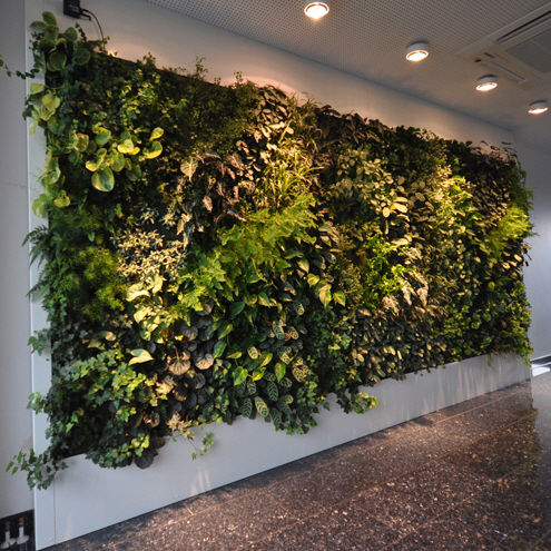 "зеленая стена" для интерьера - LIVEPANEL - PFLANZENWAND / VERTICAL GARDEN / JARDIN VERTICAL - Freund GmbH - биоклиматическая