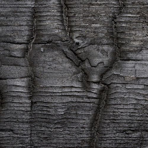 Настенная декоративная панель - MAGMA - verbranntes Holz / conserved wood / bois brûlé - Freund GmbH - из дерева / лакированная / промасленная