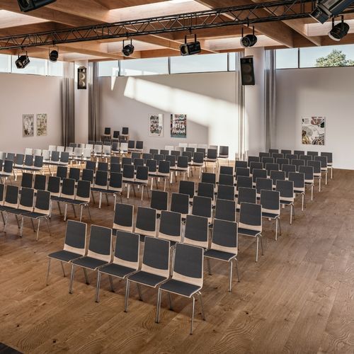 Современный cтул - ROMA - ASSMANN BÜROMÖBEL GMBH & CO. KG - для интерьера / из кожи / дерево