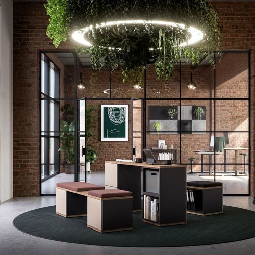 Отдельно стоящая система для хранения вещей - CUBAS | FLEX - ASSMANN BÜROMÖBEL GMBH & CO. KG - современная / из дерева / для профессионального использования