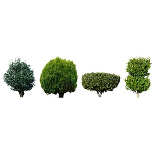 Библиотека 2D/3D-предметов - SHRUBS & TREES - DOSCH DESIGN
