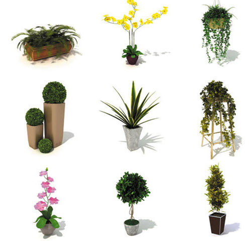 Библиотека 2D/3D-предметов - INDOOR PLANTS - DOSCH DESIGN