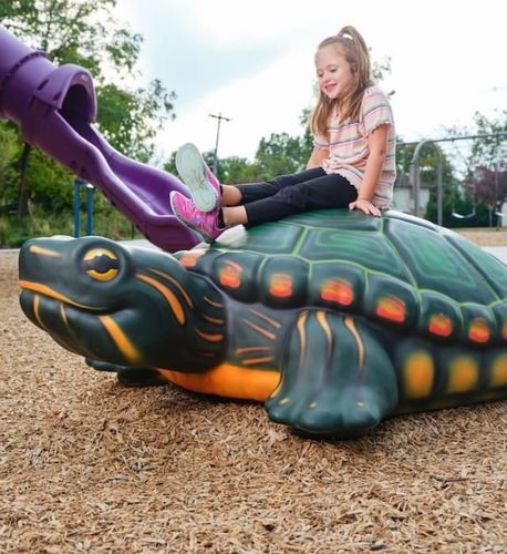 Скульптура из пластика - TURTLE  - Soft Play LLC - по индивидуальному заказу / напольная / для игровой площадки
