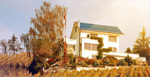Фотоэлектрическая станция - CS SERIES - CANADIAN SOLAR