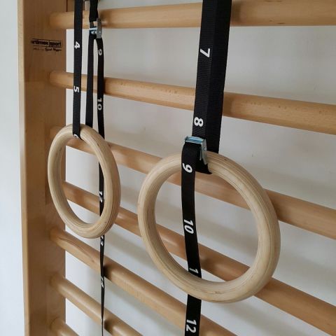 Кольца для гимнастики - 1163-STRAP - Artimex Sport