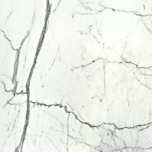 Плита из камня из мрамора - STATUARIETTO, ARABESCATO, BIANCO CARRARA "C", BIANCO CARRARA - SALVINI STILE - для напольной поверхности / для облицовки / для ванной комнаты