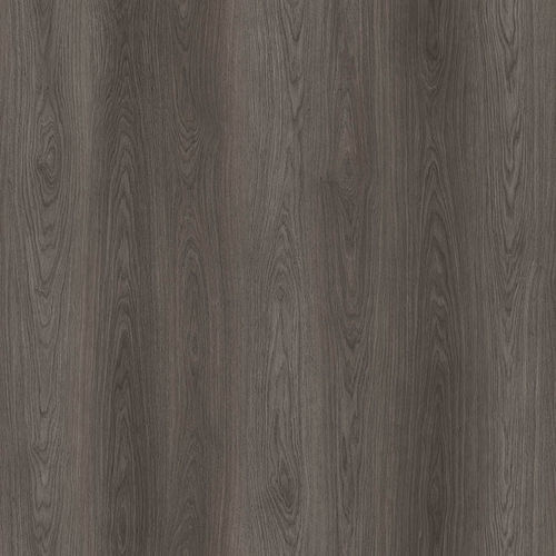 Напольное покрытие из пробкового дерева - BLACK FOREST OAK  - Wicanders - для интерьера / для гостиной / для офиса