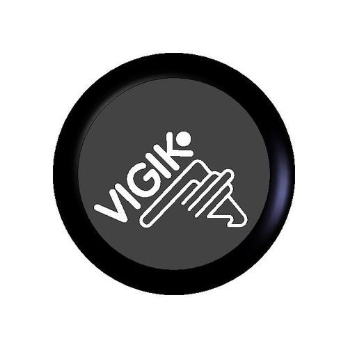 Боллард для контроля доступа - LECTEUR DE PROXIMITE VIGIK - Intratone - автоматический / из металла