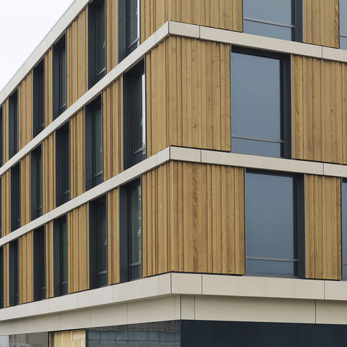 Панельная облицовка фасада - BADEN CANTONAL HOSPITAL - Rieder Facades GmbH - специальная / из железобетона / со шпунтовым соединением