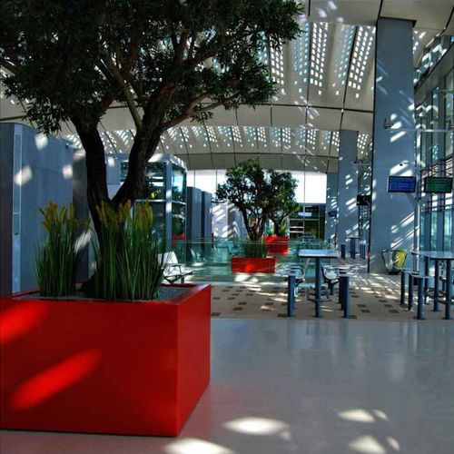 Кадка для растений из лакированного алюминия - SAS-C148.148H100 - ATELIER SO GREEN - из алюминия / из листового металла / квадратная