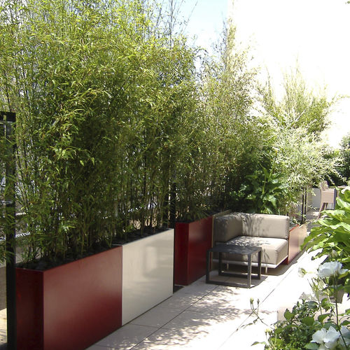 Кадка для садовых растений из волокнистого цемента - IMAGE'IN IRF - ATELIER SO GREEN - из полиуретана / из керамики / прямоугольная
