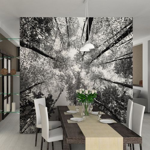 Современный обои - ARBRES - AQUILIA - DECLIK - панорамный / природный мотив / черный