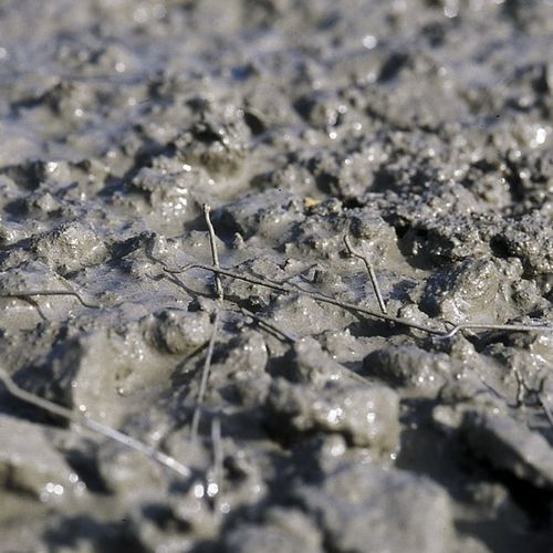 Бетон самоуплотняющийся - AGILIA® MI MÉTAL - Lafarge concrete - армированный волокном / для домов / под плитой