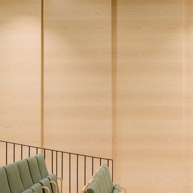 Акустическая панель для стены - NANO - Gustafs Scandinavia AB - для потолков / из фанерованной древесины / из гипса