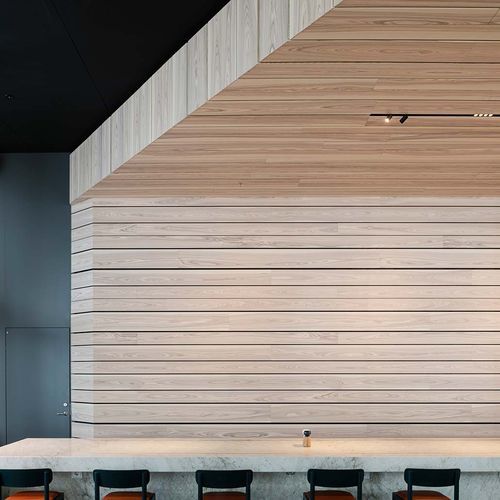 Акустическая панель для стены - PLANK  - Gustafs Scandinavia AB - из фанерованной древесины / из гипса / прямоугольная