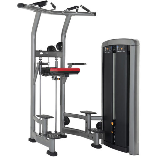 Тренажер отжимание на брусьях - SS-ADC - Life Fitness - для интерьера / для спортзала