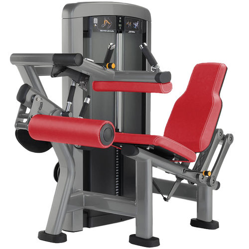Тренажер сгибание ног - SS-SLC - Life Fitness - для интерьера / для спортзала
