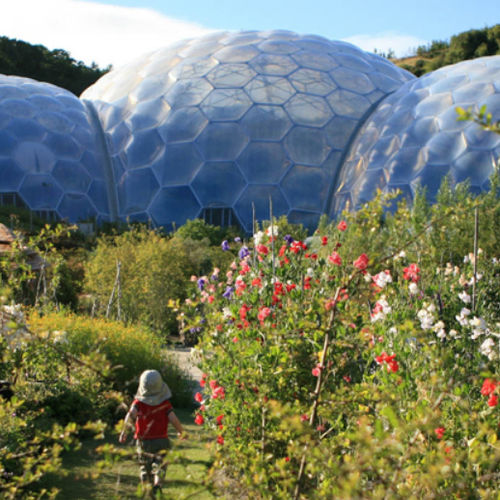 Текстильная мембрана ETFE Texlon® - EDEN PROJECT - Vector Foiltec - для фасада / для кровли / полупрозрачная