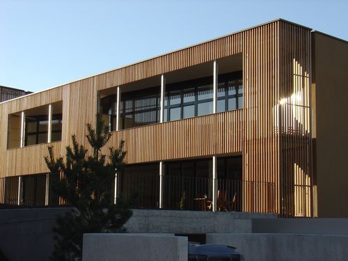 Панельная облицовка фасада - ALLSCHWIL - Haring Engineering Ltd  - из дерева / пазованная