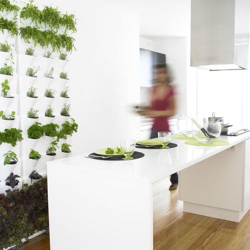 Вертикальный сад из живых растений - MINIGARDEN KITCHEN GARDEN - Minigarden (Quizcamp SA) - из модульных панелей / для интерьера / для наружного применения